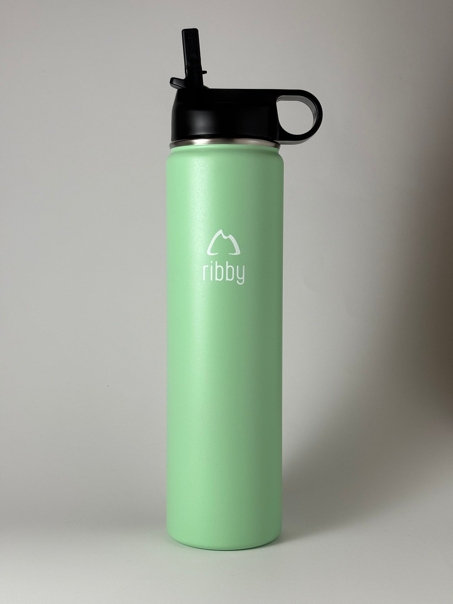 Ribby 750 ml Wide Mouth Stainless Steel Bottle with Straw Lid-Mint