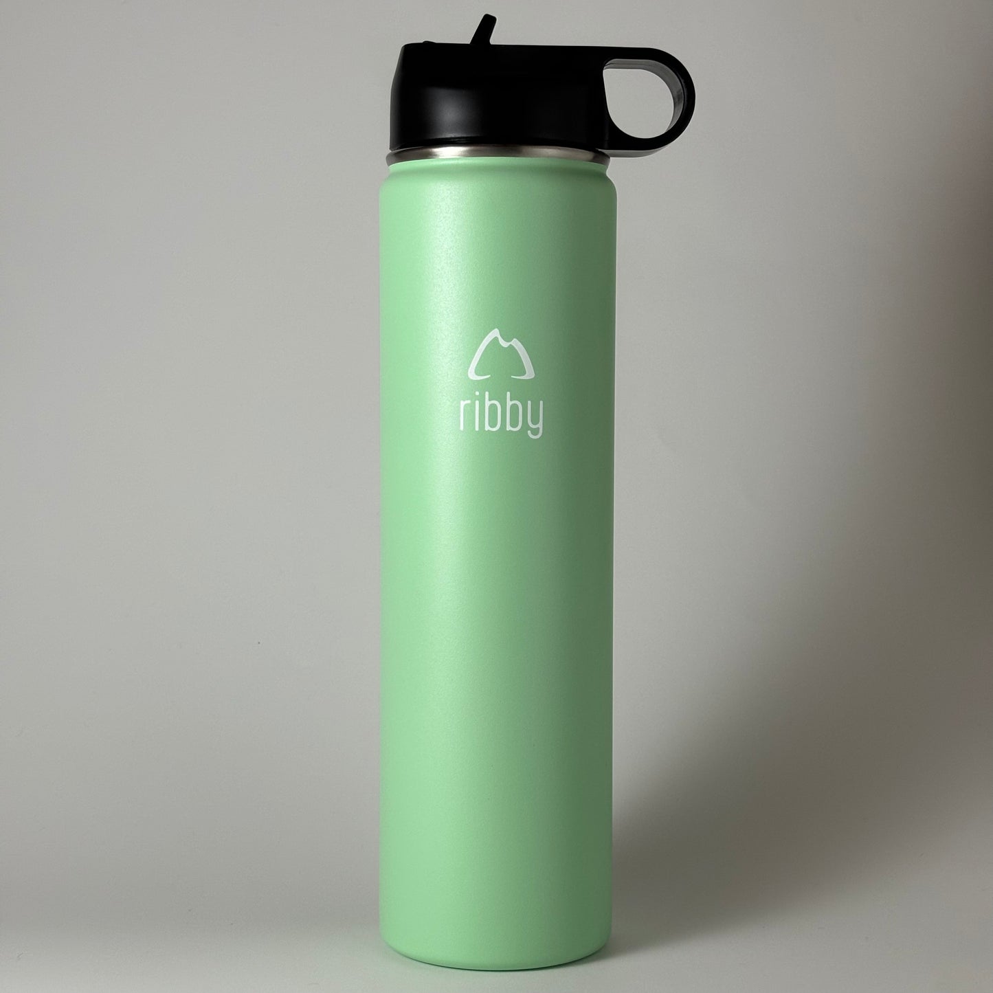 Ribby 750 ml Wide Mouth Stainless Steel Bottle with Straw Lid-Mint