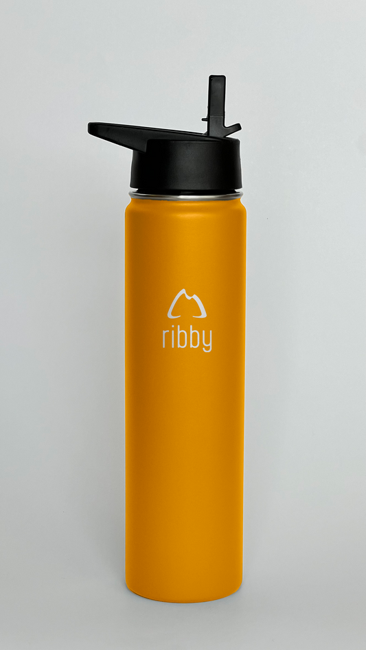 Ribby 710 ml Wide Mouth Bottle with Straw Lid-Sand Orange