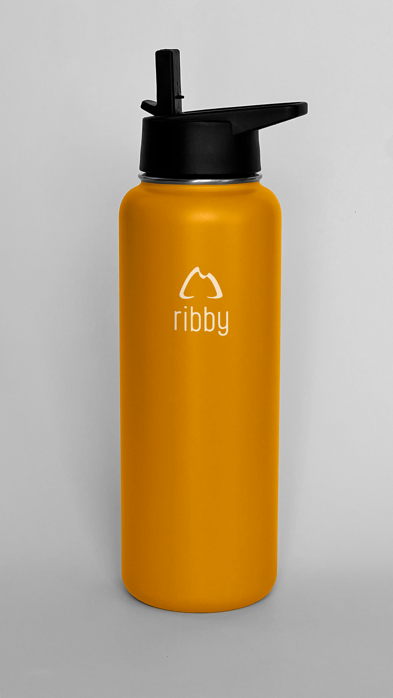 Ribby 1200ml Wide Mouth Bottle with Straw Lid-Sand Orange